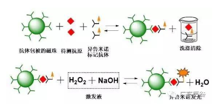 【兆恒機械】化學(xué)發(fā)光免疫分析技術(shù)-引領(lǐng)體外診斷行業(yè)